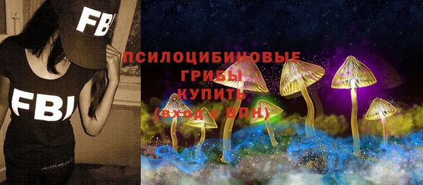 герыч Алексин